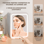 Mini Frigider pentru Cosmetice, functie de Racire si Incalzire, capacitate 4 litri