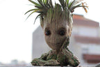 Suport figurina Grooty ganditor, ghiveci plante